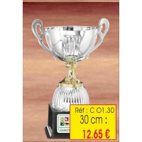 COUPE : REF. CO1 - 30 CM